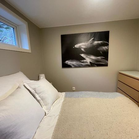 A, The Far End Of Lofoten, Top Apartment. Sørvågen Extérieur photo